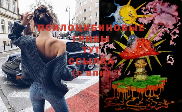 соль курить ск Алзамай