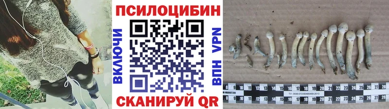 Псилоцибиновые грибы прущие грибы  Пугачёв 